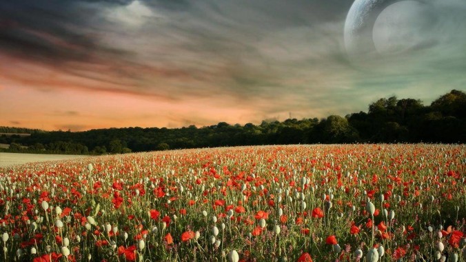 如何评价阿里等大厂笔试现已经禁用本地IDE？